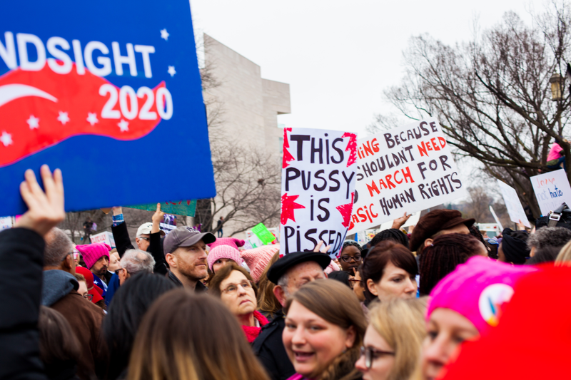 Illustration for article titled WOMEN'S MARCH ON WASHINGTON : THE SIGNS